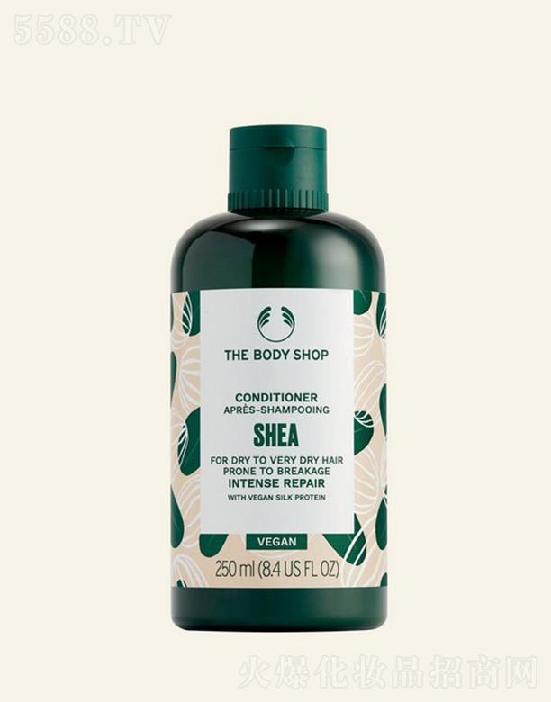 WR(Ї)޹˾wСľޏol 250mlmϸOהl