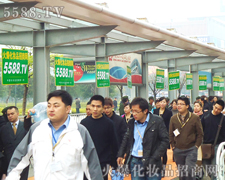 I(y)[ȺӢCͣ푻𱬼Y̖