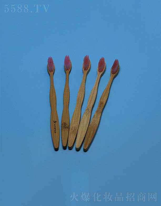 環(huán)保竹柄牙刷EFBH-010