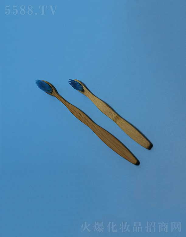 環(huán)保竹柄牙刷EFBH-007