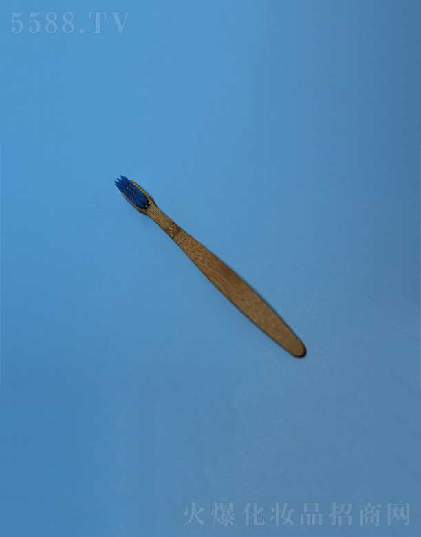 環(huán)保竹柄牙刷EFBH-006