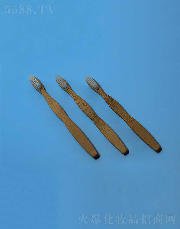 環(huán)保竹柄牙刷EFBH-003