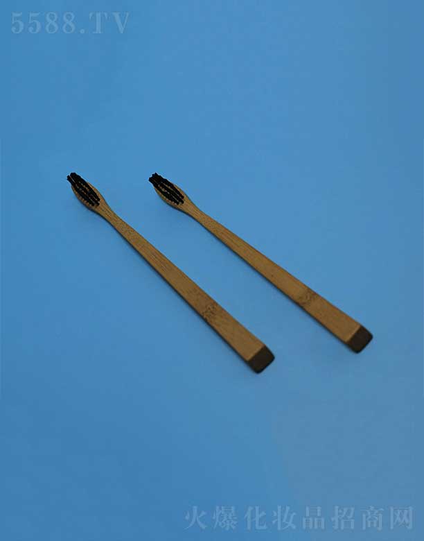 環(huán)保竹柄牙刷EFBH-001