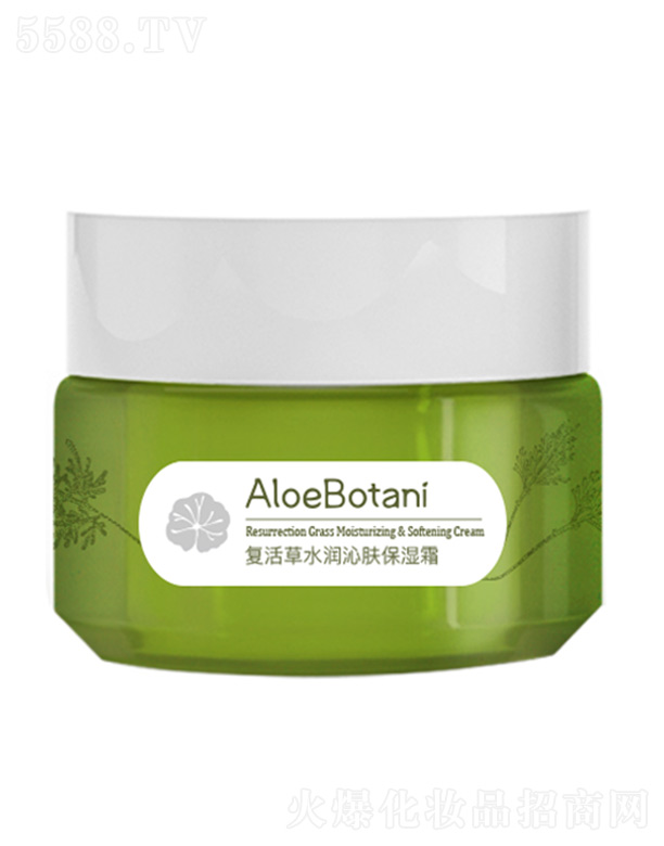 復活草水潤沁膚保濕霜