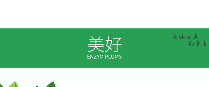 上工輕之道輕清酵素果粉 上工輕之道輕清酵素果粉