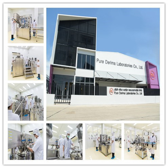 PDL(泰國(guó))化妝品有限公司 PDL(泰國(guó))化妝品有限公司