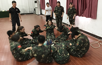 YGِ֊Z@ǬFٶc